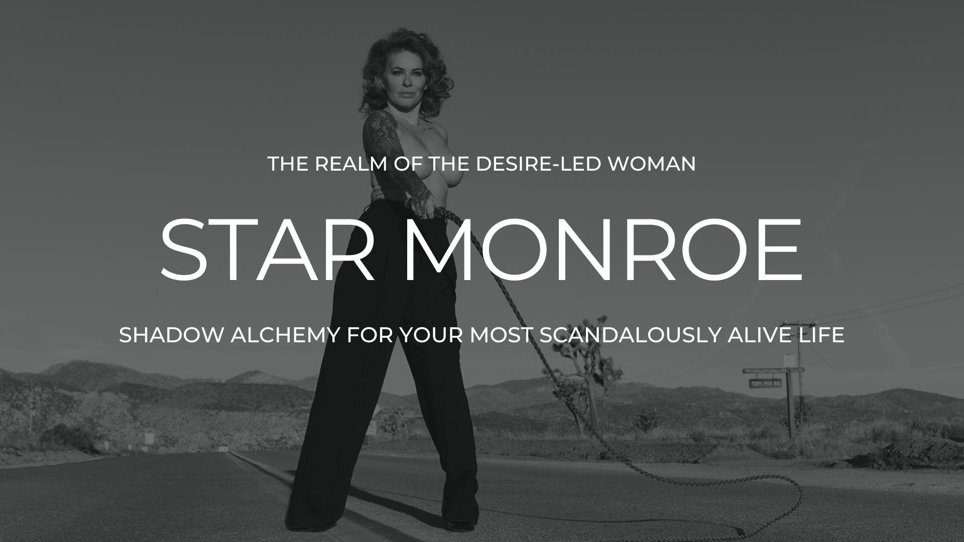 SHADOW ALCHEMY FOR YOUR MOST SCANDALOUSLY ALIVE LIFE