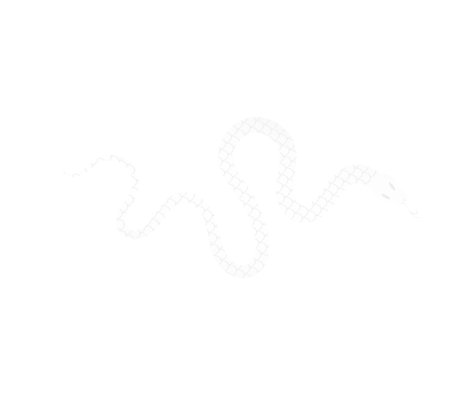 Audacious feminine leadership for purpose driven midlife women